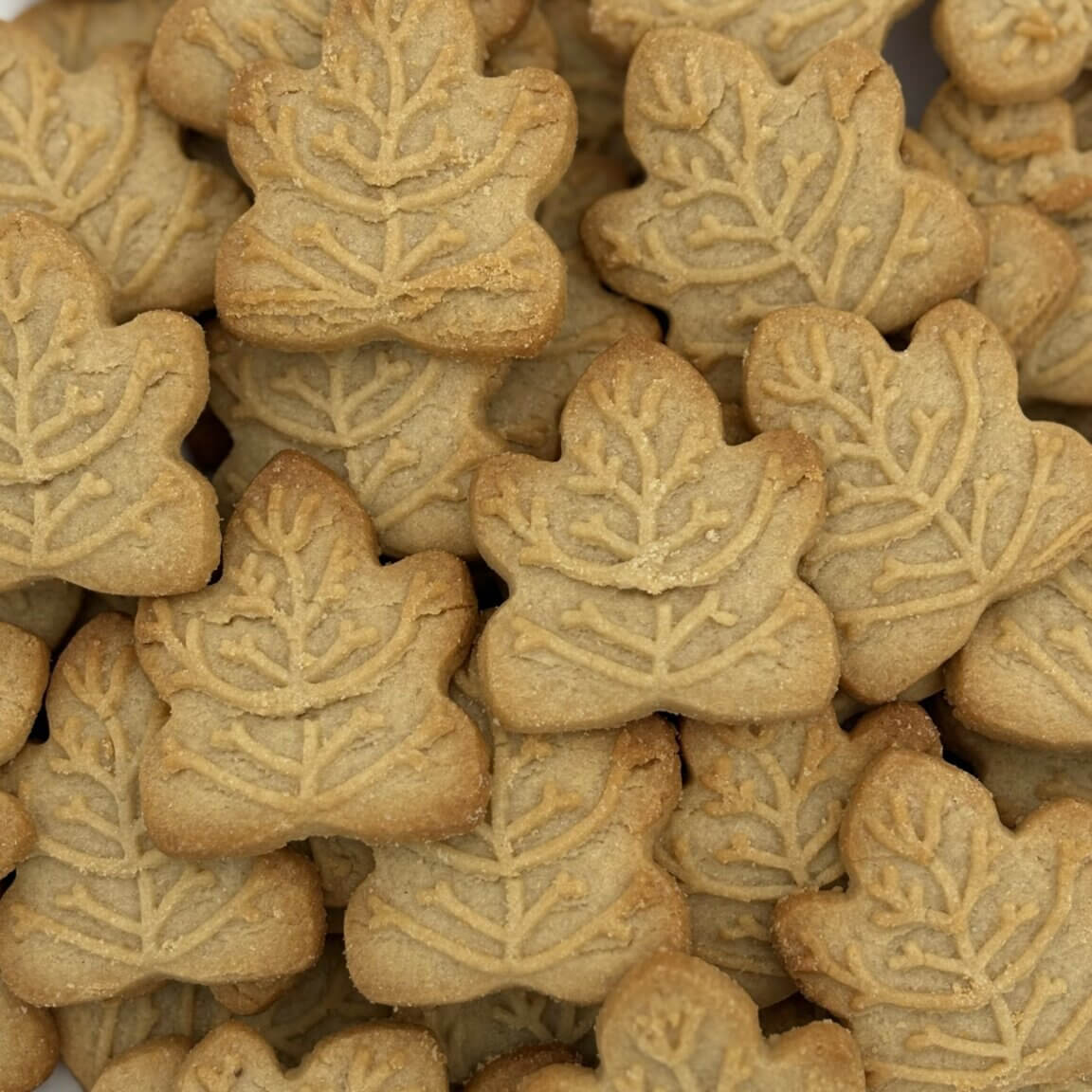 Delicouki 15103 Bulk